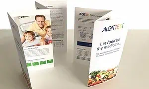 AlcatZickzackflyer