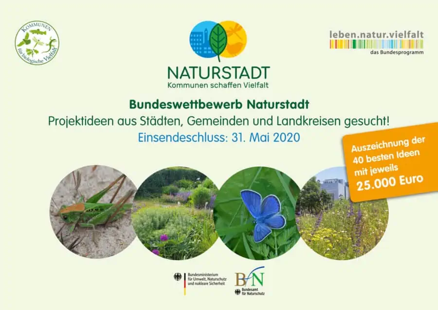 Naturstadt Grafik-Design Berlin
