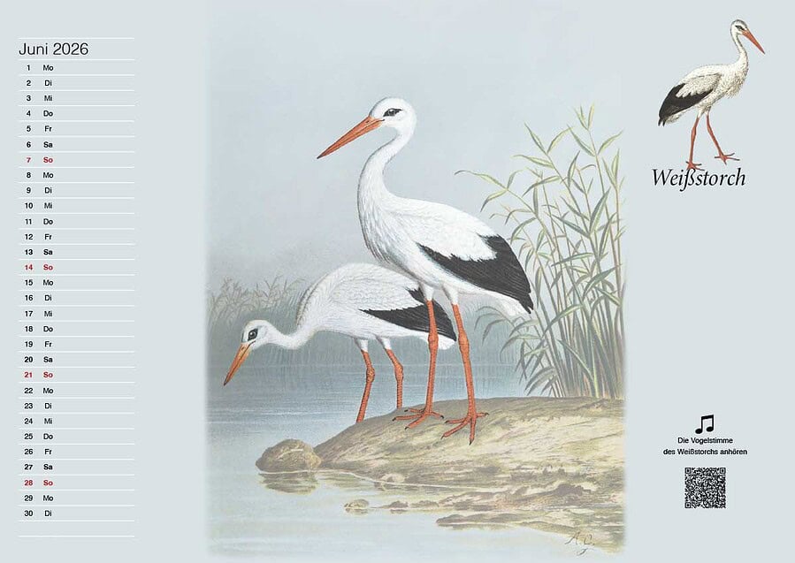 LichtenbergerBildkalender2026 13