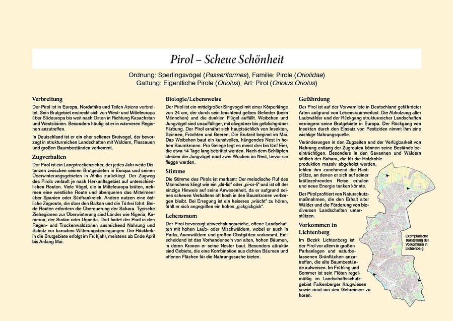 LichtenbergerBildkalender2026 16