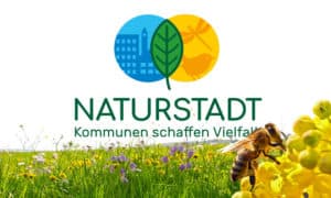 Umwelt Grafikdesign Naturstadt