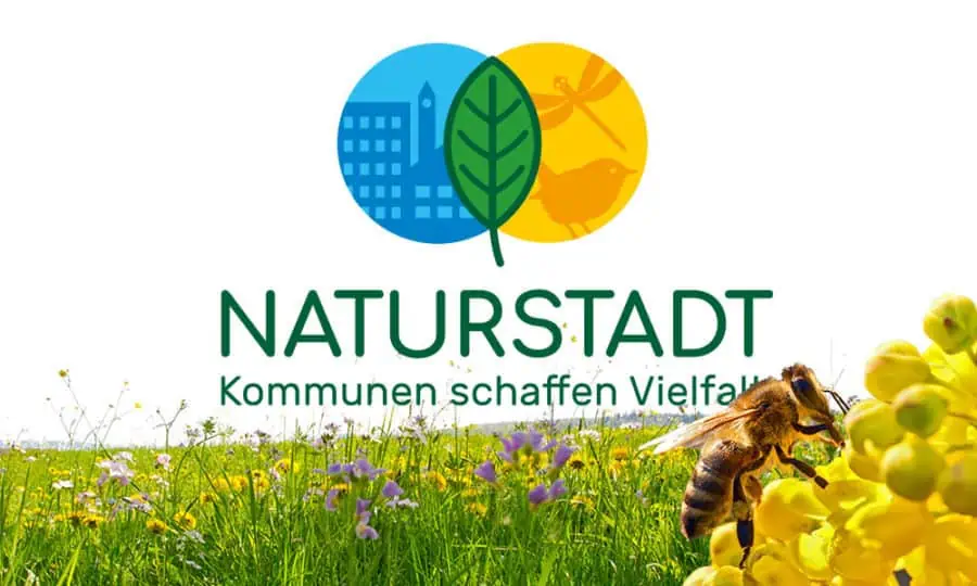 Wettbewerb Naturstadt 23 Umwelt Grafikdesign Naturstadt