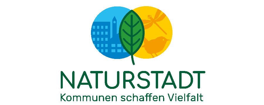 Naturstadt Logoentwürfe