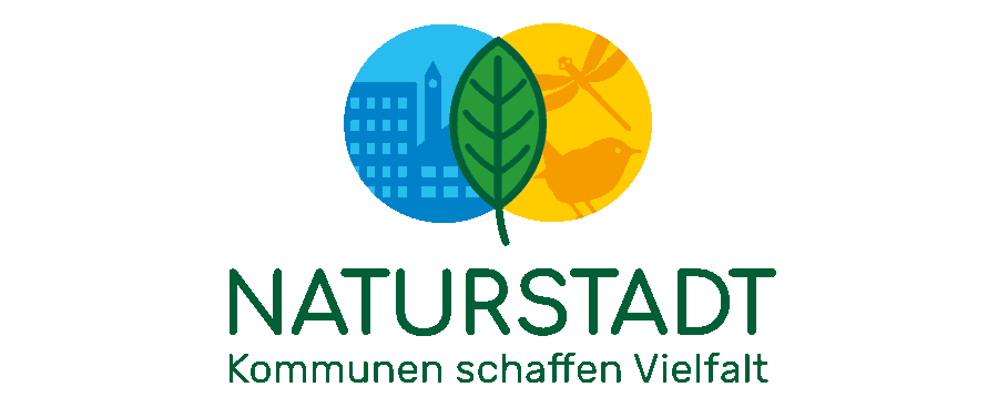 Naturstadt Logoentwürfe