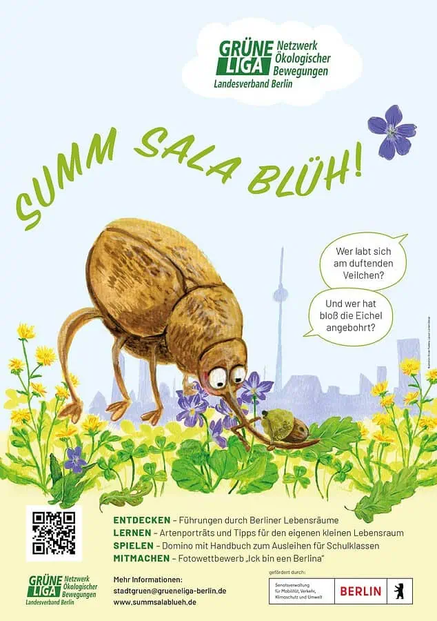 Plakat SummSala 224